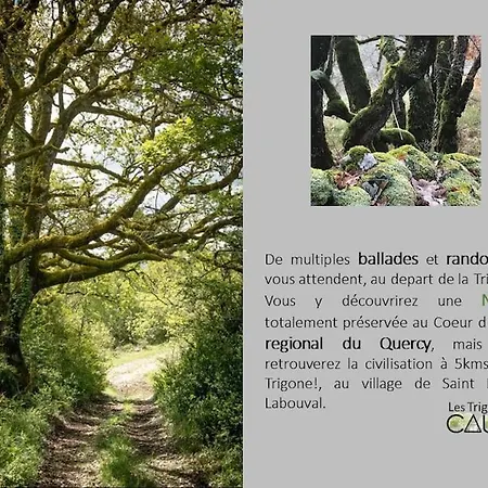 Casa vacanze Les Trigones Du Causse - Maison Insolite Avec Acces Piscine Libre Independant *