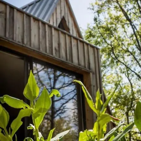 Les Trigones Du Causse - Maison Insolite Avec Acces Piscine Libre Independant Casa vacanze *